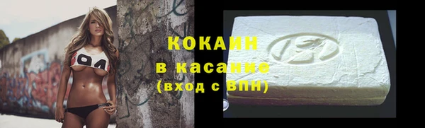 бошки Алексин