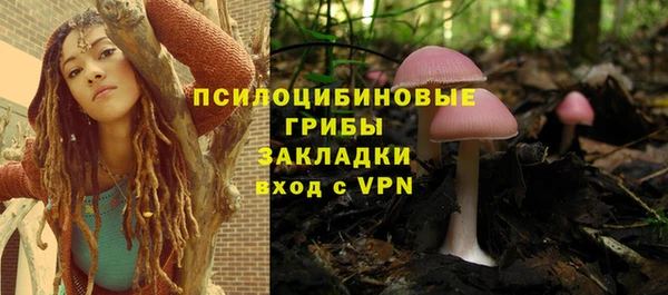 спиды Алексеевка