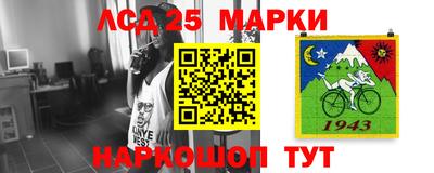 индика Ставрополь