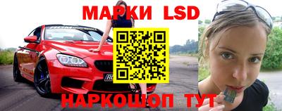 индика Ставрополь