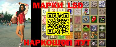 индика Ставрополь