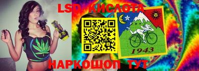 спайс Тара