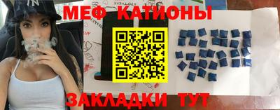 индика Ставрополь