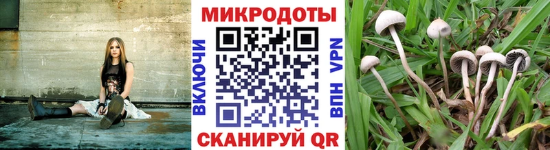 hydra зеркало  Нурлат  Псилоцибиновые грибы Psilocybine cubensis 