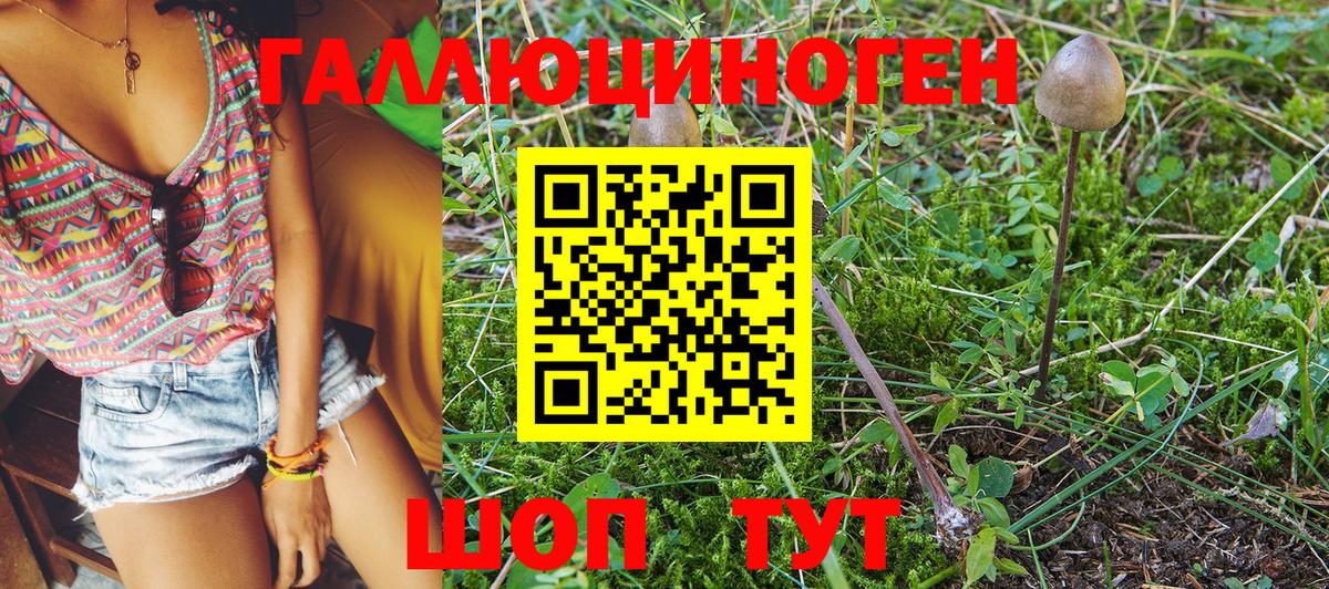 купить наркотики сайты  Псилоцибиновые грибы Psilocybe  Нурлат  Вход с VPN  Псилоцибиновые грибы мицелий 